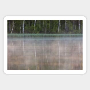 Forest reflecting to small lake at morning Sticker
